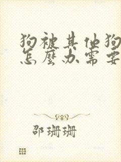 狗被其他狗咬了怎么办需要打针吗