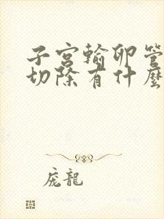 子宫输卵管卵巢切除有什么影响