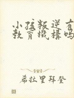 小孩叛逆有专业教育机构吗