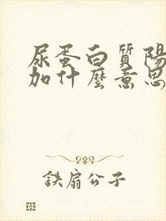 尿蛋白质阳性1加什么意思