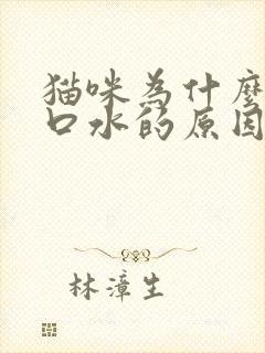 猫咪为什么会流口水的原因