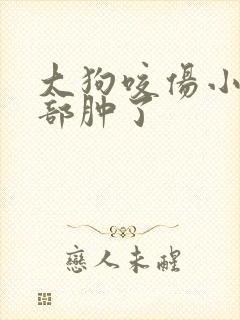 大狗咬伤小狗头部肿了