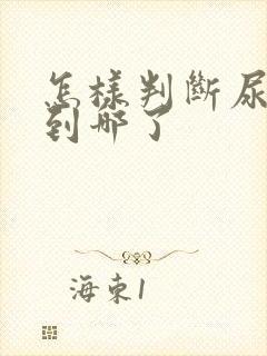 怎样判断尿结石到哪了