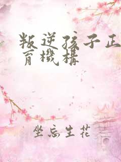 叛逆孩子正规教育机构