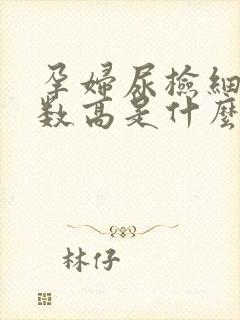 孕妇尿检细菌计数高是什么意思