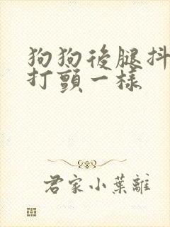 狗狗后腿抖动像打颤一样