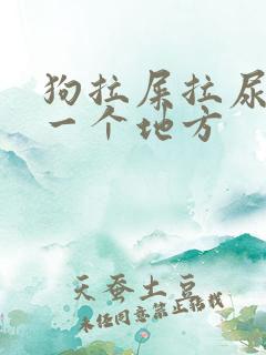 狗拉屎拉尿不在一个地方