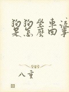 狗狗坐车流鼻涕是怎么回事