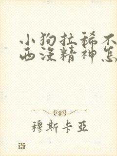 小狗拉稀不吃东西没精神怎么回事