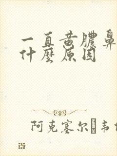 一直黄脓鼻涕是什么原因