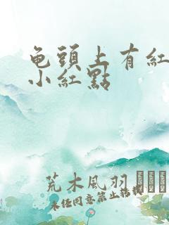 龟头上有红点有小红点