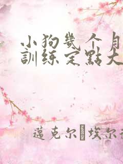 小狗几个月开始训练定点大小便