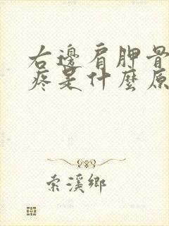 右边肩胛骨下面疼是什么原因