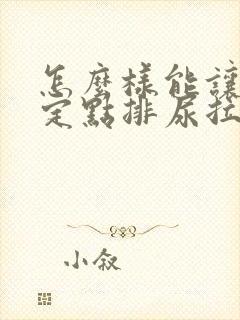 怎么样能让小狗定点排尿拉屎