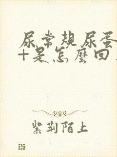 尿常规尿蛋白2+是怎么回事