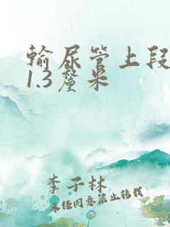 输尿管上段结石1.3厘米