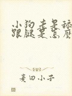 小狗老是舔爪子跟腿是怎么回事儿