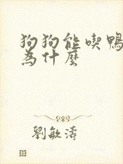 狗狗能吃鸭肉吗为什么