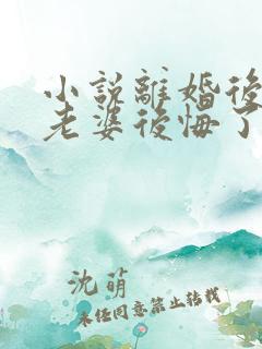 小说离婚后总裁老婆后悔了