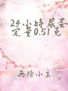 24小时尿蛋白定量0.51克