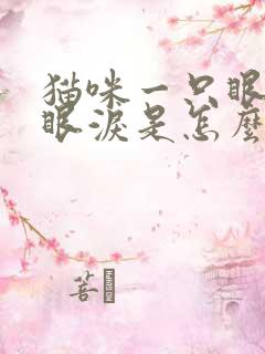 猫咪一只眼睛流眼泪是怎么回事