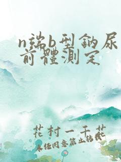 n端b型钠尿肽前体测定