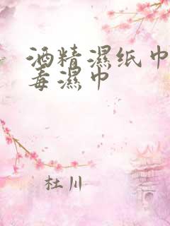 酒精湿纸巾 消毒湿巾