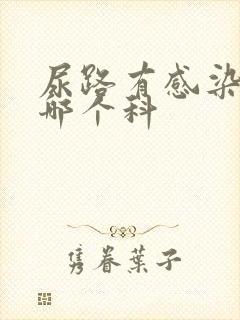 尿路有感染要挂哪个科