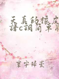 天真的橡皮吉他谱c调简单版