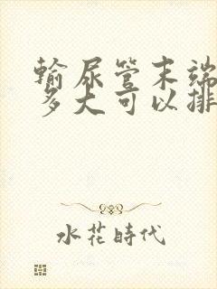 输尿管末端结石多大可以排出