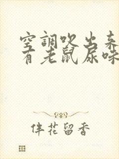 空调吹出来的风有老鼠尿味