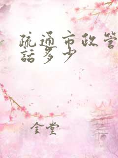 疏通市政管道电话多少