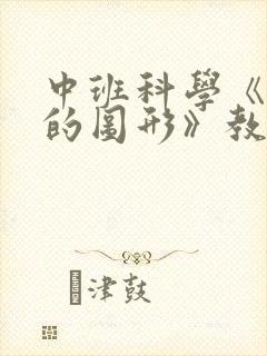 中班科学《有趣的图形》教案