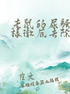 老鼠的尿骚味怎样彻底去除