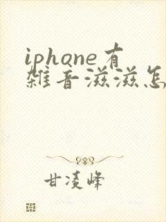 iphone有杂音滋滋怎么办