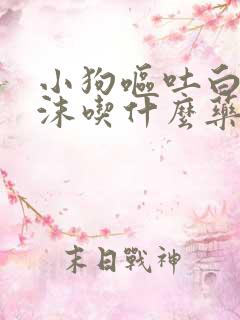 小狗呕吐白色泡沫吃什么药