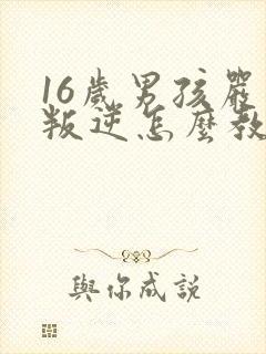 16岁男孩严重叛逆怎么教育