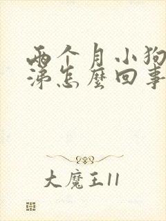 两个月小狗流鼻涕怎么回事