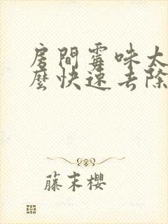 房间霉味太重怎么快速去除