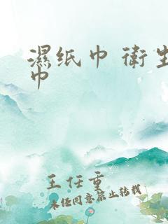 湿纸巾 卫生湿巾