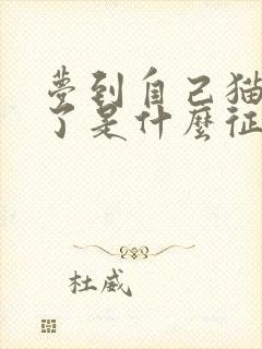 梦到自己猫咪死了是什么征兆呢