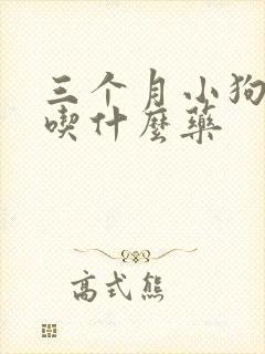 三个月小狗感冒吃什么药