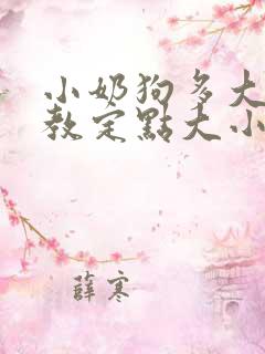 小奶狗多大可以教定点大小便