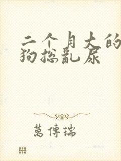 二个月大的泰迪狗总乱尿