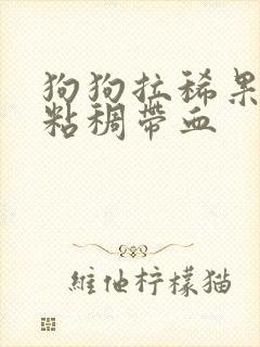 狗狗拉稀果冻状粘稠带血