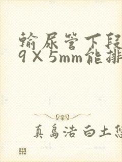 输尿管下段结石9×5mm能排出吗