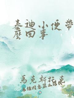 泰迪小便带血怎么回事