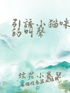 引诱小猫咪过来的叫声