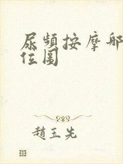 尿频按摩哪个部位图