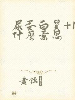 尿蛋白质+1是什么意思